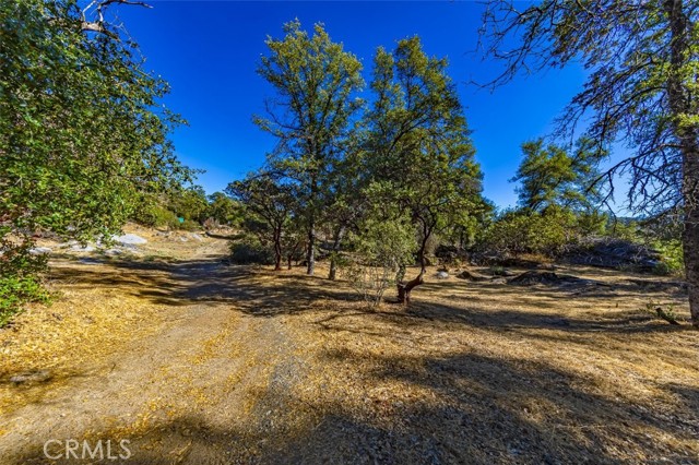 Wonderful location to build your dream home!  With a new well drilled in June, 2020 and production was rated at 15 GPM. Well pump is in place and ready to pump into your storage tank. Bring your house plans and/or RV and camp on over 11 acres. Partially cleared with a small pad, travel trailer and generator included. Complete privacy on these lovely acres while gated and partially fenced. Come and enjoy the views while you choose the ideal spot to  start your dream come true home!