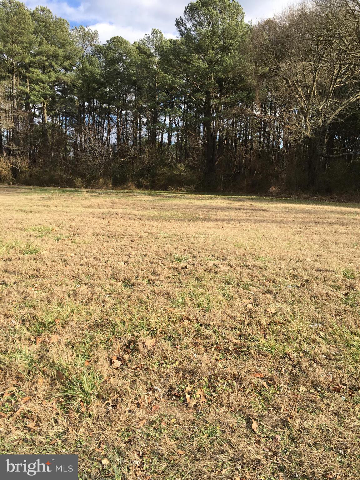 Commercial lot Sales price include   3 lots 2113, 2115, 2117  Northwood  Dr. each lot is 50x200

For sales price $ 199,000. include the house 2111 Northwood Dr. right next to the lots