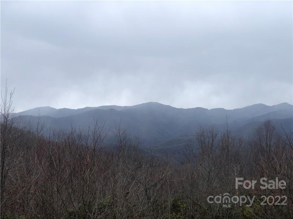 Fantastic, remote lot in Balsam Mountain Preserve!  Enjoy great views north of the Plott Balsam Mountain Range and Waterrock Knob as well as sunset views west over Boar Ridge.  Build your mountain dream home on this gentle sloped buildsite with improved private drive in place.  Just a few minutes to the private Dark Ridge Campground with Class A NC Trout Fishing Stream.  Lot #252 is a must see!