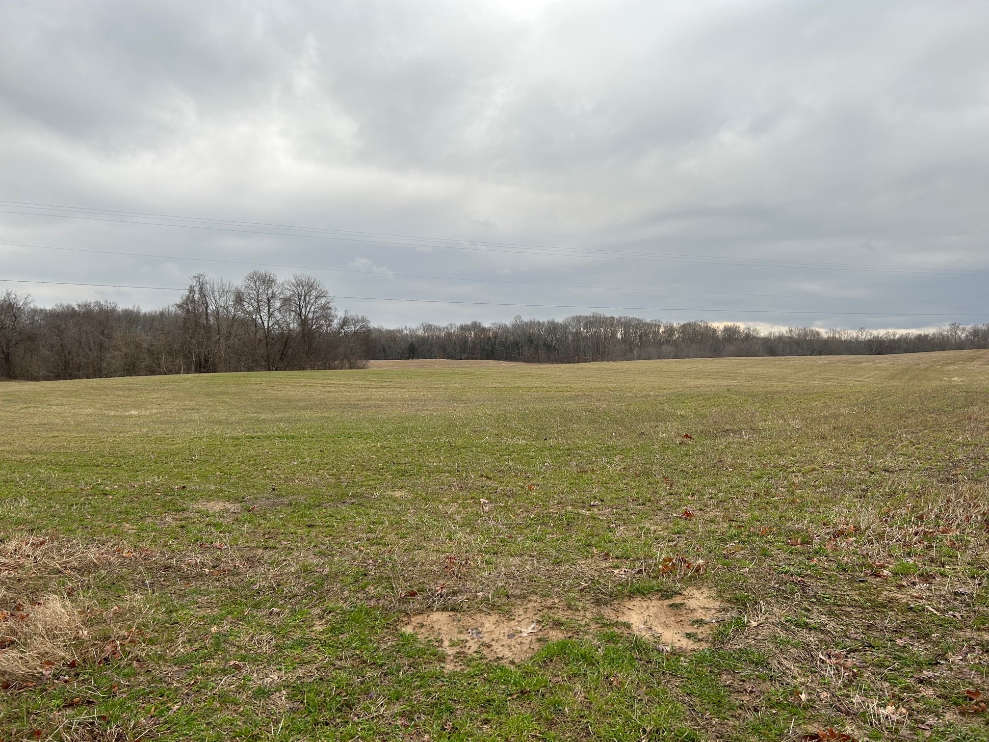 Specular 50 Acres to build your dream home. Don't miss this opportunity.